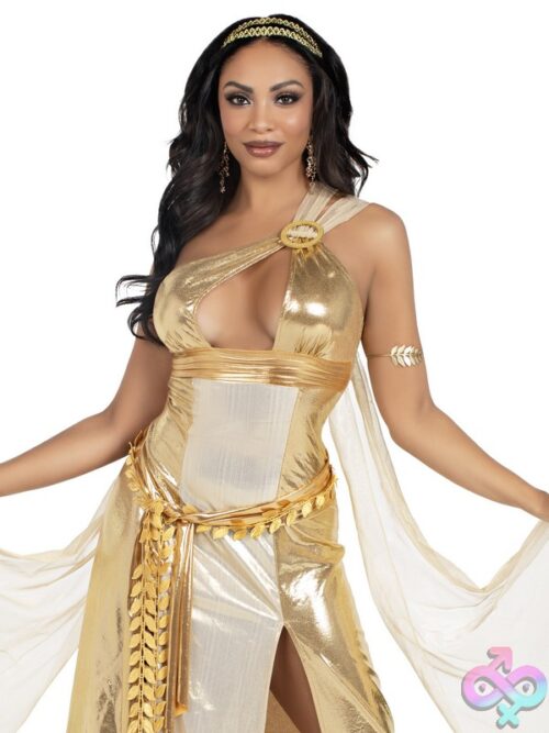3 Piece Golden Goddess Costume