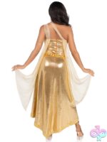 3 Piece Golden Goddess Costume