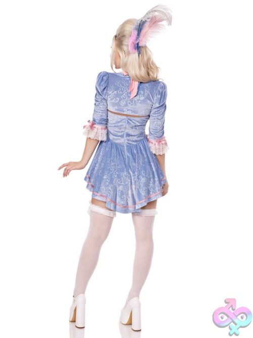2 Piece Marie Antoinette Costume