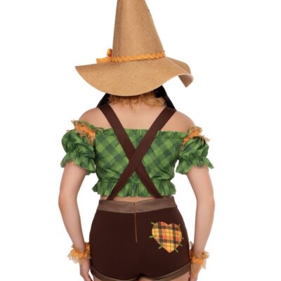 5 Piece Scarecrow Sweetie Costume