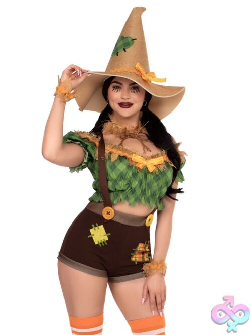 5 Piece Scarecrow Sweetie Costume