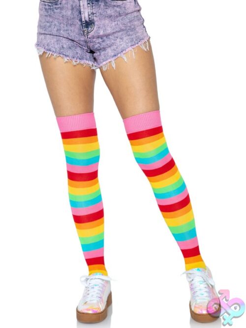 Rainbow Leg Warmers