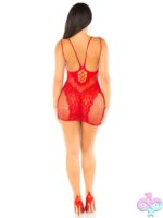 Lace and Net Mini Dress Dual Strap Detail