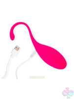 Clitoral Vibrators for Female