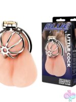 Compact small silver stainless steel chastity cage with lock by Blue Line Men