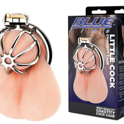 Compact small silver stainless steel chastity cage with lock by Blue Line Men