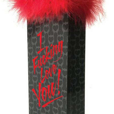 I Fucking Love You Gift Bag by Little Genie in red with feather handles