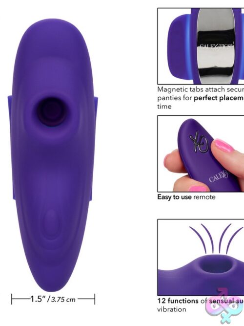 Lock-N-Play Remote Suction Panty Teaser – Purple - Image 3