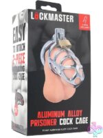 Silver metal bar-style prisoner cock cage with padlock by Lockmaster