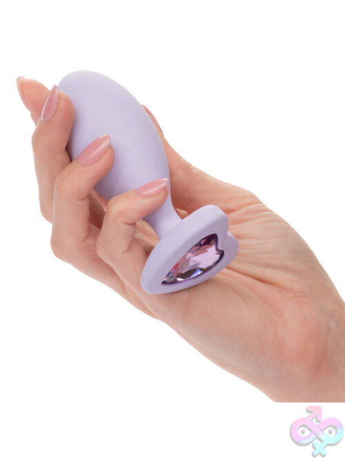 Anal Kits for Anal