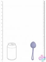 Pelvifit Berry Kegel Kit – 5-Weight Progressive Set - Image 3