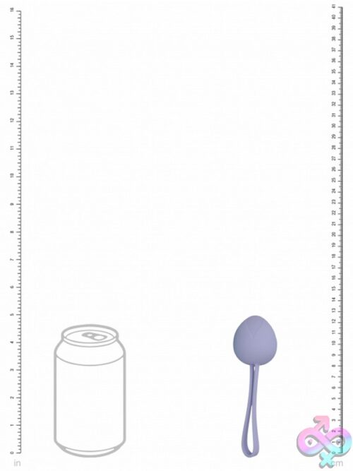 Pelvifit Berry Kegel Kit – 5-Weight Progressive Set - Image 3