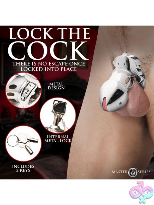 Master Series Cock Cuff Snap-On Chastity Cage – Silver Metal - Image 5