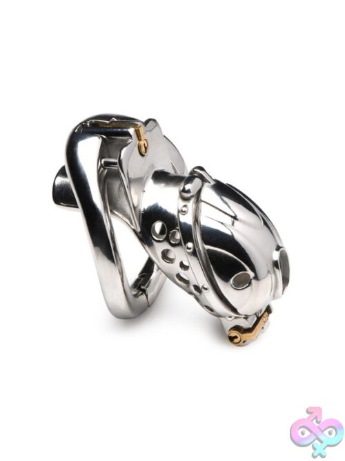 Master Series Deluxe Locking Chastity Cage – Silver Metal - Image 2