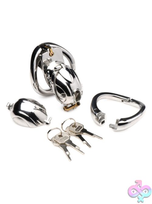 Master Series Deluxe Locking Chastity Cage – Silver Metal - Image 3