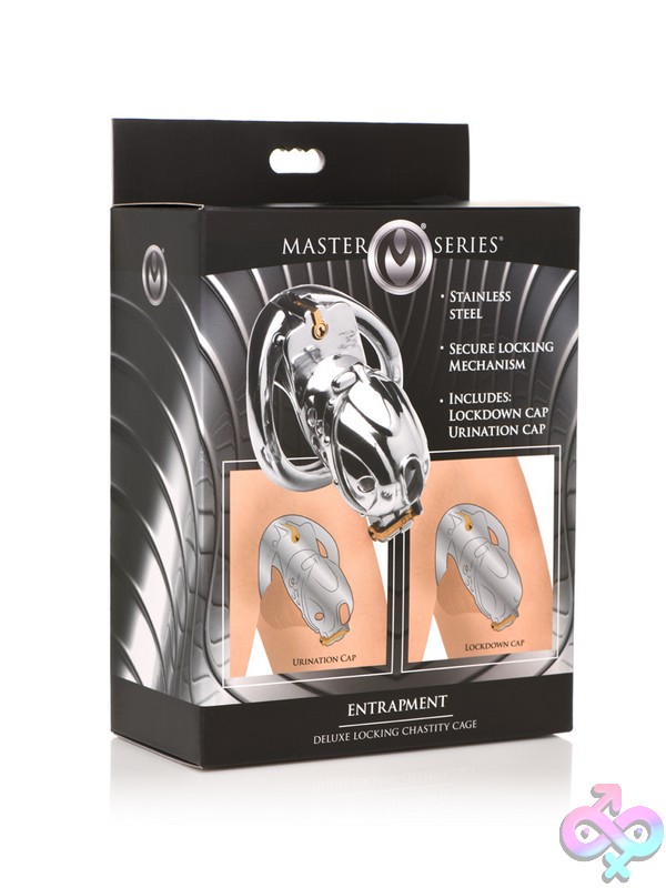 Discreet-Toys-Master-Series-Deluxe-Locking-Chastity-Cage-Nu-Xr-Ah060 Deluxe Locking Chastity Cage In Polished Silver Metal By Xr - Master Series