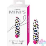 Minis Spotted Bullet White
