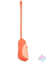 orange remote vibrating egg Mood Play Vibrating Egg With Remote by Doc Johnson