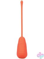 Mood Play Vibrating Egg With Remote Orange - Image 5