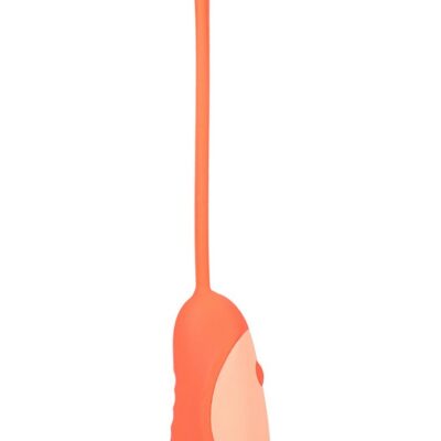 orange remote vibrating egg Mood Play Vibrating Egg With Remote by Doc Johnson