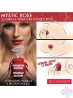Clitoral Vibrators for Female