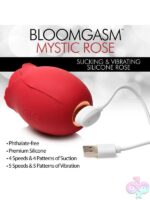 Clitoral Vibrators for Female