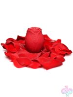 Clitoral Vibrators for Female