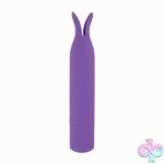 Nasstoys Minis Tickler Bullet - Purple - Image 2
