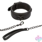 Nocturnal Collection Collar and Leash - Black - Image 6