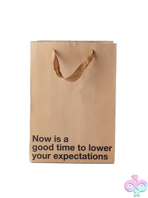 Discreet-Toys-Now-Is-A-Good-Time-To-Lower-Your-Expectations-3-Pack-Bag-Nu-Bag3Pk-001 Snarky Beige Kraft Paper Gift Bag 3-Pack With Brown Ribbon Handle By Wood Rocket