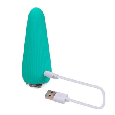 Vaginal and Clit Vibrators for Female