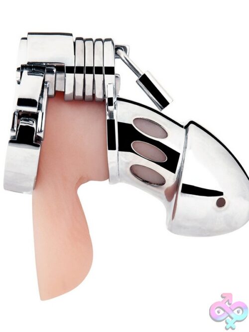 Obedience Cock Cage - Image 2