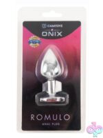 Smooth bendable beginner anal plug in silver by Camtoyz with flared safety base