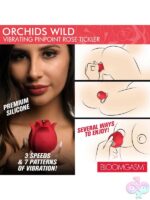Clitoral Vibrators for Female