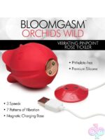 Clitoral Vibrators for Female