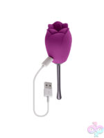 Novelty Vibrators for Female