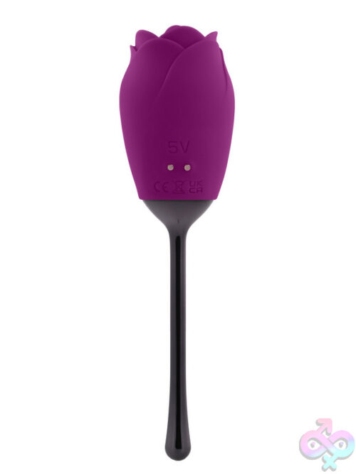 Novelty Vibrators for Female