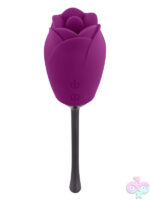 Novelty Vibrators for Female