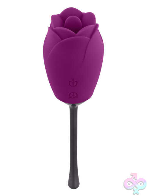 Novelty Vibrators for Female