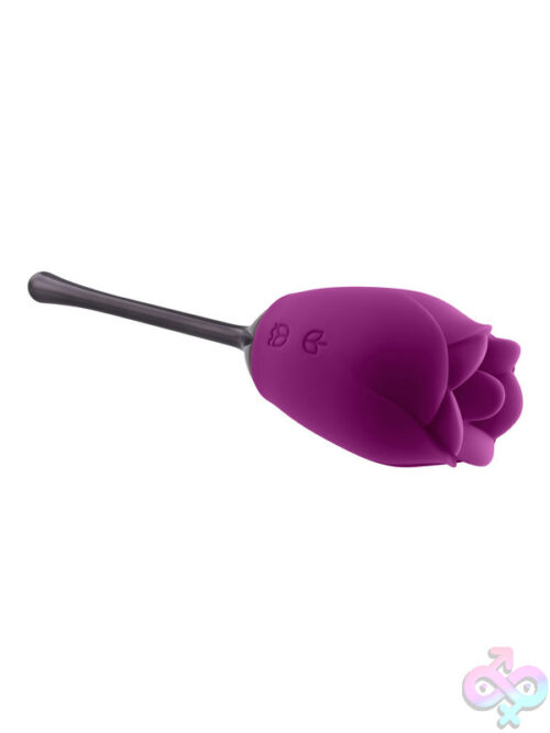 Novelty Vibrators for Female