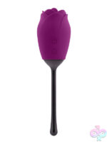 Novelty Vibrators for Female