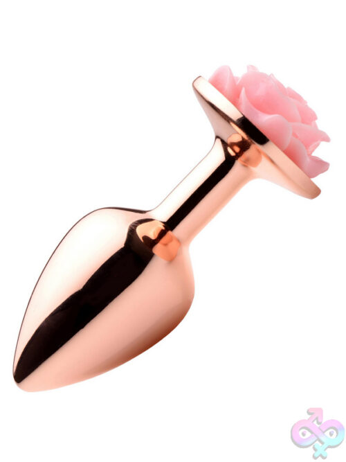 Anal Plugs for Anal