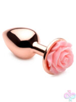 Anal Plugs for Anal