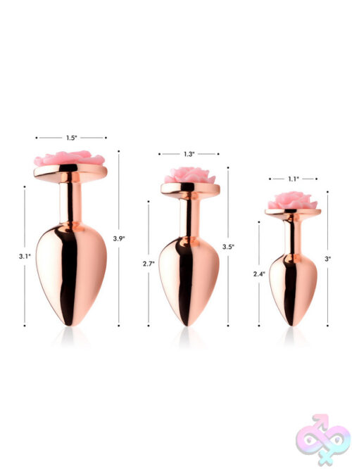 Anal Plugs for Anal