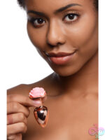 Anal Plugs for Anal