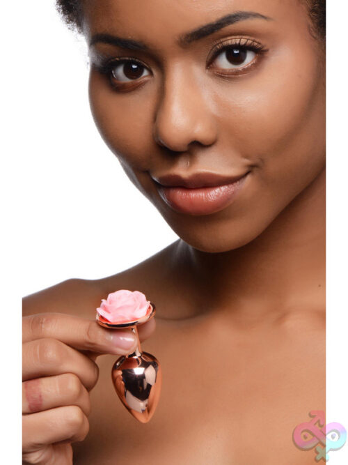 Anal Plugs for Anal
