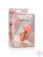 Small Pink And Gold Backside Toy - Image 8