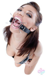 Pipedream Sex Toys - Fetish Fantasy Extreme Spider Gag