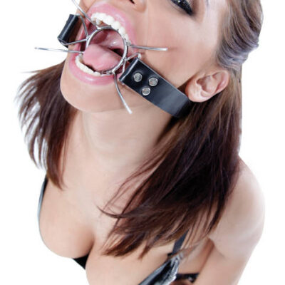Pipedream Sex Toys - Fetish Fantasy Extreme Spider Gag