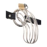 Fetish Fantasy Extreme the Prisoner silver steel chastity cock cage by Pipedream